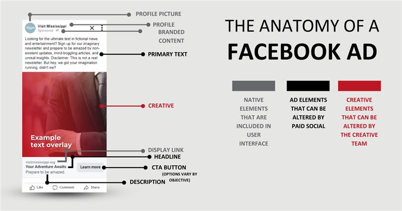 Facebook Anatomy