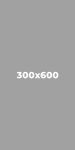 300x600-gray.jpg